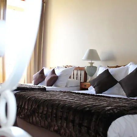 Hotel Raymond Vii